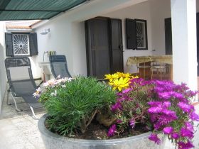 IMG_4357.JPG
